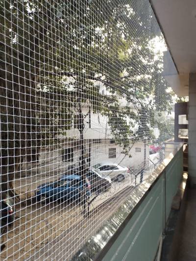 Anti bird net along a corridor overlooking a parking area and trees