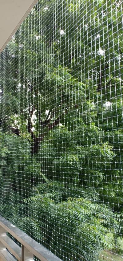 Bird net on a balcony facing a dense tree line