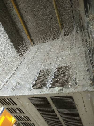 Bird spikes installed along an air-conditioning vent ledge
