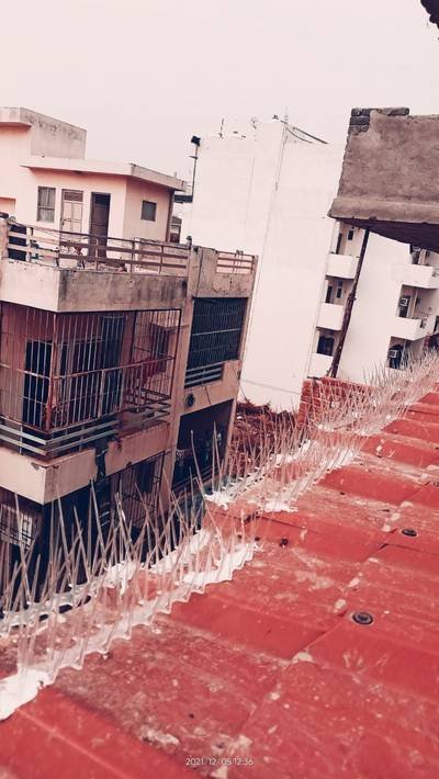 Bird spikes running along a rooftop parapet edge
